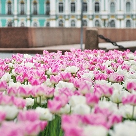 фотограф Александр Кузнецов. Фотография "Весна у Зимнего"