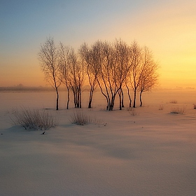 зимнее утро | Фотограф Сергей Шляга | foto.by фото.бай