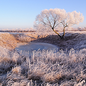 один день зимы | Фотограф Стас Аврамчик | foto.by фото.бай