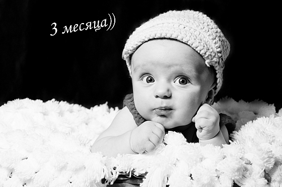 Фотограф Светлана Легенькая, фотография добавлена 09.04.2019