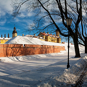 Несвижская зима | Фотограф Виталий Федотов | foto.by фото.бай