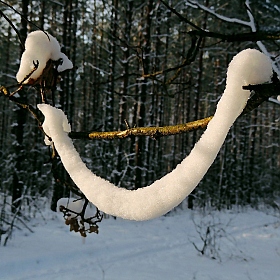 фотограф Владислав Рогалев. Фотография "прощальная улыбка зимы"