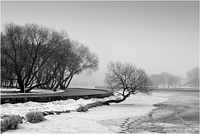 последний аккорд зимы... | Фотограф Игорь Сафонов | foto.by фото.бай