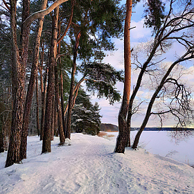 Тропинка возле озера | Фотограф Сергей Шабуневич | foto.by фото.бай