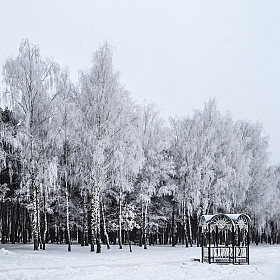 фотограф Анна Шевцова. Фотография "Зимняя мечта"