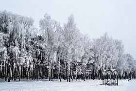 Зимняя мечта | Фотограф Анна Шевцова | foto.by фото.бай
