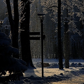 фотограф Александр Тарасевич. Фотография "Снег."
