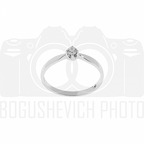 Фотограф Алексей и Валентина Богушевич, фотография добавлена 18.06.2019