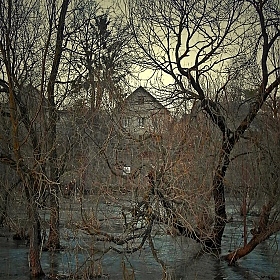 Запустевший дом | Фотограф Anton mrSpoke | foto.by фото.бай