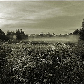 фотограф Диана Буглак-Диковицкая. Фотография "Туманный рассвет"