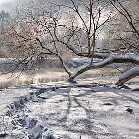 фотограф Дмитрий Голуб. Фотография "Зима на Свислочи"