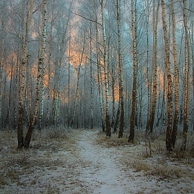 Зимний вечер | Фотограф Сергей Шляга | foto.by фото.бай