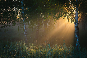 Тёплое утро мая | Фотограф Дмитрий Захаров | foto.by фото.бай