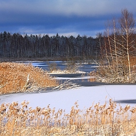 фотограф Андрей Марцинкевич. Фотография "Зимний пейзаж"