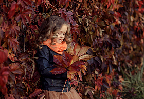 Краски Осени | Фотограф Виктория Дубровская | foto.by фото.бай