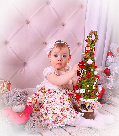 Фотограф Светлана Рябова, фотография добавлена 28.12.2016