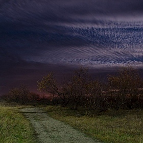 фотограф Сергей Ласута. Фотография "Ночная прогулка"