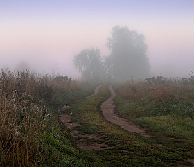 Дорога перед рассветом | Фотограф Сергей Шабуневич | foto.by фото.бай