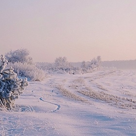 Пушистая зима | Фотограф Дмитрий Анатольевич | foto.by фото.бай