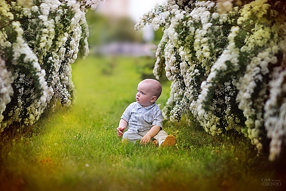 Фотограф Юлия Горбачева, фотография добавлена 27.06.2015