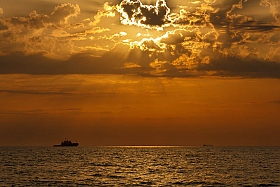 золотое море | Фотограф Ольга Коваленкова | foto.by фото.бай