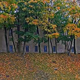 фотограф Anton mrSpoke. Фотография "Осенние стены."