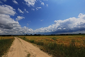 Перед грозой. | Фотограф Денис Макаров | foto.by фото.бай