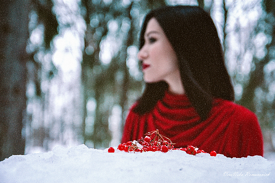 Фотограф Вероника Романович, фотография добавлена 30.01.2017