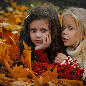 фотограф Алена Супряга. Фотография "Из серии Осень ...красивая Осень..."