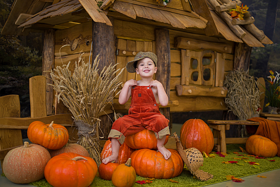 Фотограф Ирина Вьюн, фотография добавлена 10.11.2019