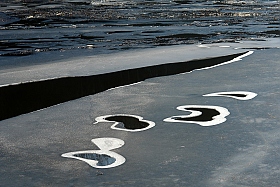 Следы на воде | Фотограф Сергей Тарасюк | foto.by фото.бай