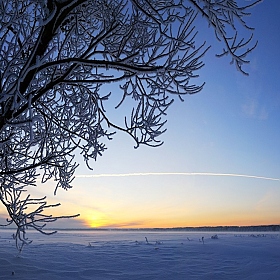 зимний вечер | Фотограф Николай Никитин | foto.by фото.бай