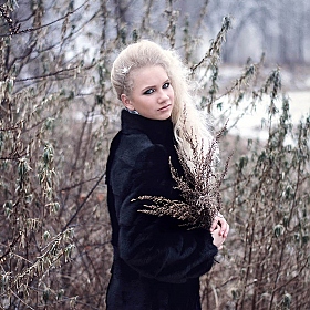 фотограф Татьяна Любавина. Фотография "Собирая зимние травы"