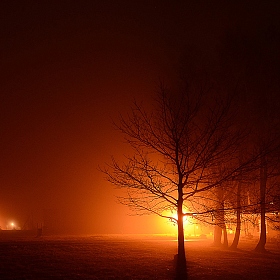 фотограф Михаил Степовиков. Фотография "Кровавый туман"