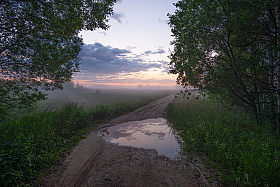 после летнего дождя | Фотограф Виталий Полуэктов | foto.by фото.бай
