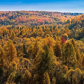 фотограф Александр Есликов. Фотография "осень  на севере"