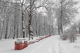 Red on White | Фотограф Зміцер Пахоменка | foto.by фото.бай