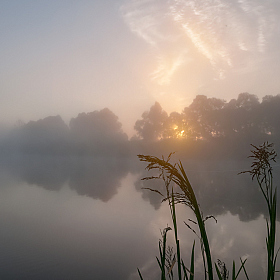 Солнце сквозь туман | Фотограф Александр Шатохин | foto.by фото.бай