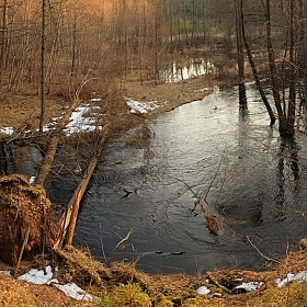 Панорама дикой природы | Фотограф Андрей Марцинкевич | foto.by фото.бай