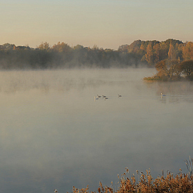 Нежное утро в тумане | Фотограф Александр Задёрко | foto.by фото.бай