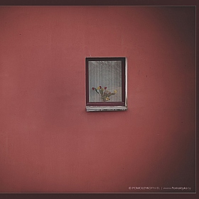 фотограф Павел Помолейко. Фотография "Стена. Окно. За ним цветы"