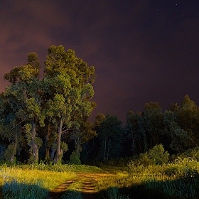 фотограф Сергей Шляга. Фотография "про летнюю ночь"