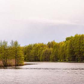 На старом озере. | Фотограф Стас Аврамчик | foto.by фото.бай