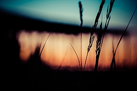 Закат | Фотограф Виталий Шаливский | foto.by фото.бай