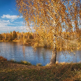 Золото реки | Фотограф Александр Удовиченко | foto.by фото.бай