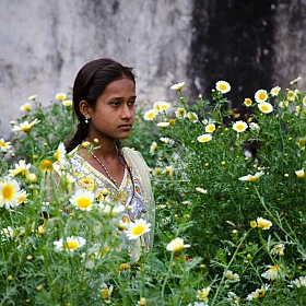 Индийская девушка | Фотограф Виктор Карпов | foto.by фото.бай