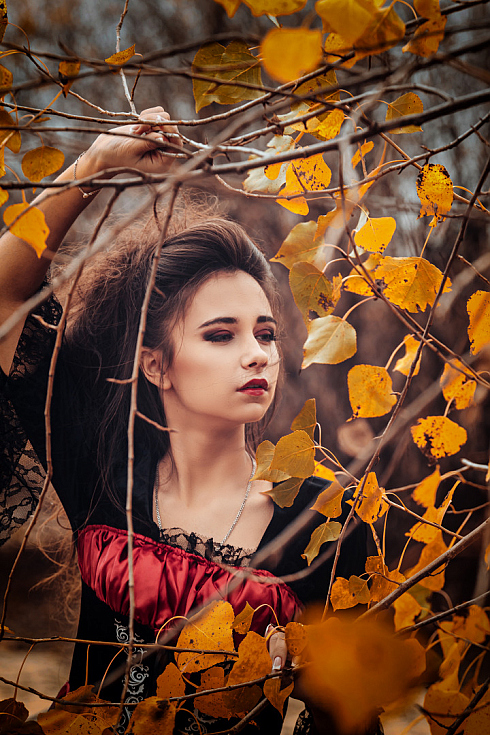 Фотограф Ирина Карпенко, фотография добавлена 15.11.2019