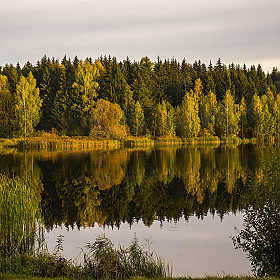 фотограф Александр Шиляев. Фотография "Осень"