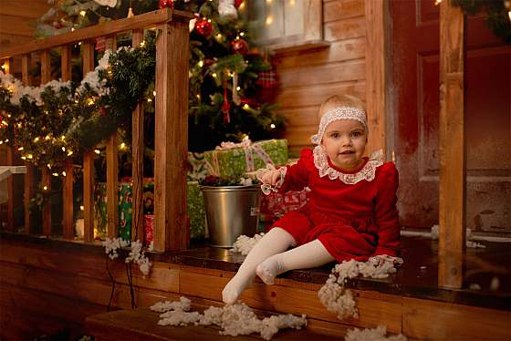 Фотограф Лилия Стасеня, фотография добавлена 21.12.2017