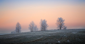 Иней на деревьях | Фотограф Сергей Шабуневич | foto.by фото.бай